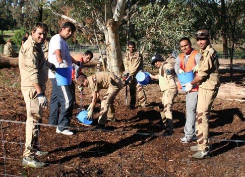 Tree plantation Perth Australia