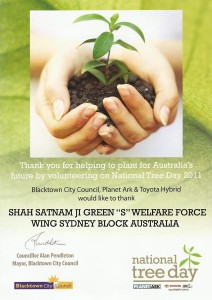 tree plantation certificate australia